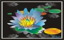 lotus flower resting on water
