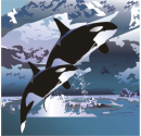 whales in the artic cold