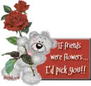 friends