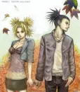shika+tema