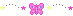 pink butterfy mini divider 