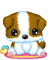cute