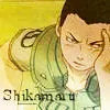 Shika-kun
