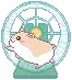 run little hamster run
