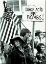 Drop acid not bombs 