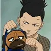 St00pid Dog