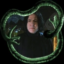 Snape and Snakes