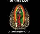 virgen de guadalupe