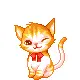 cutie kitty 