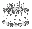 happy b-day