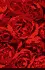 red flower
