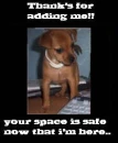 Thankx 4 The Add (Angui)