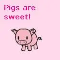 Pigs are sweet
