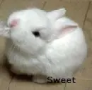 sweet baby :-)