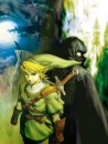 Link and a mysterious hooded figure. Have you worked out who it is yet? 