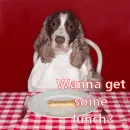 Want some lunch?