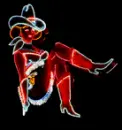 Cowgirl rodeo