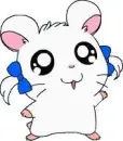Bijou