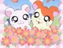 Hamtaro and Bijou