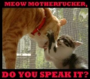 speak it