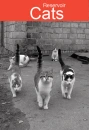 resevior cats