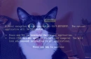 cat virus