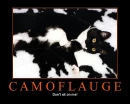 kitty camo