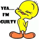 Tweety Is Guilty