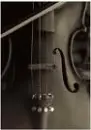 violin