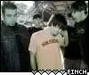Finch