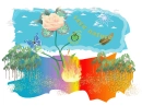 Save Nature