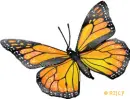Monarch Butterfly