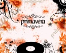primavera new