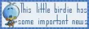 I'm Pregnant (this little birdie has important news)