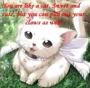 anime cats