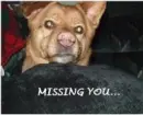 missing you