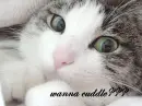 wanna cuddle