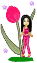 Tulip Chic