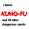 Kung Fu