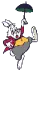 rabbit