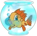 gold fish