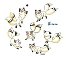 kilala or kirara