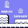 Mario & ShyGuy