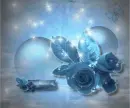 blue roses