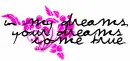 in my dreams