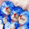 cat2