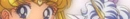 Sailor Moon