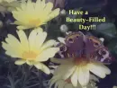 beauty filled day