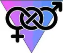 bi pride