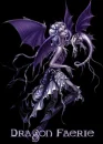 dragon faerie